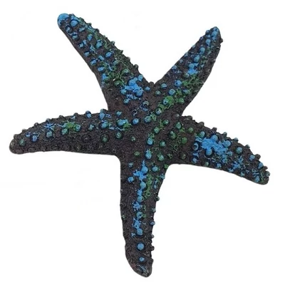 Tengeri csillag  mohás-kék poly, ragasztható