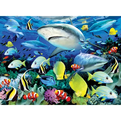 Kifestő készlet akrilfestékkel, ecsettel - 30x40 cm - Korallzátony, halak, cápa Kifestő készlet akrilfestékkel, ecsettel - 30x40 cm - Korallzátony, halak, cápa