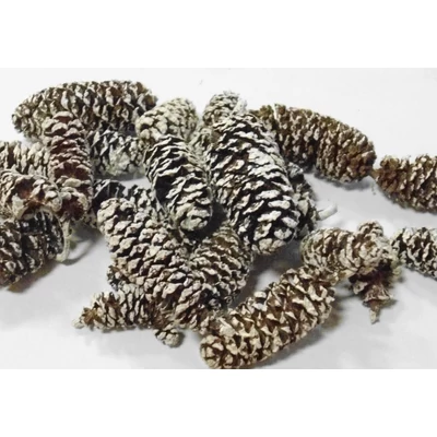 Toboz éger mini havas