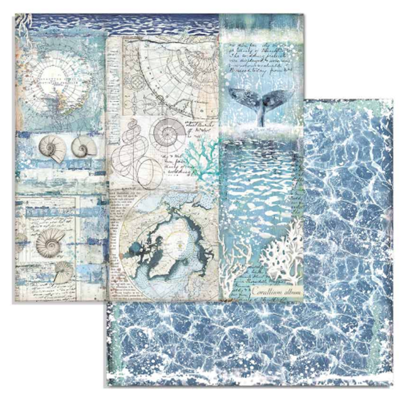 Scrapbook papír 30x30 cm -  "Sarki Antarktiszi" 10féle/cs