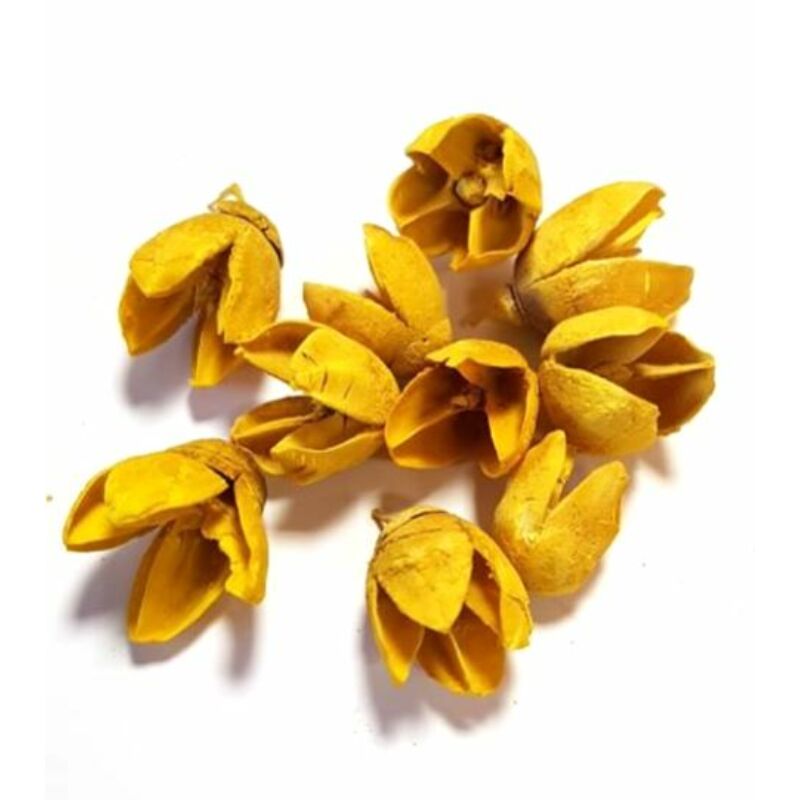 Bakuli termés, sárga