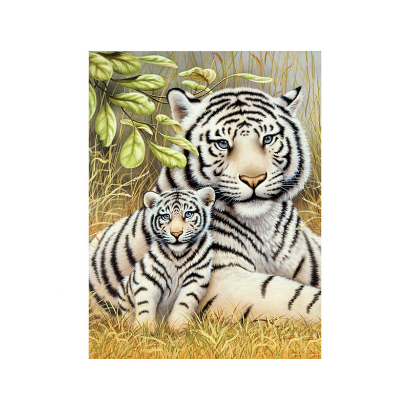 Kifestő készlet akrilfestékkel, ecsettel, gyerekeknek 8 éves kortól - 20x25 cm - Tigris