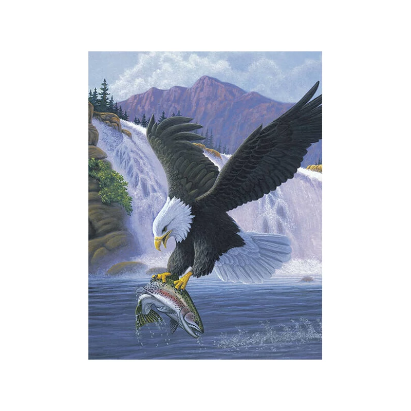 Kifestő készlet akrilfestékkel - 22x30 cm - Sas
