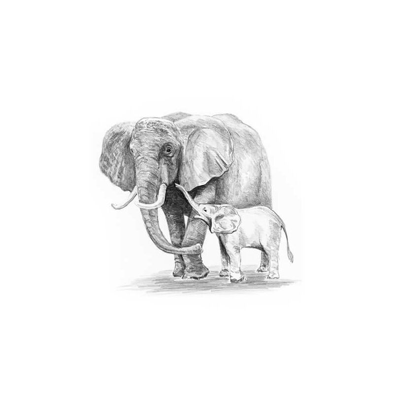 Vázlatrajz készlet ceruzákkal és útmutatóval - 12x18 cm - Elefántok