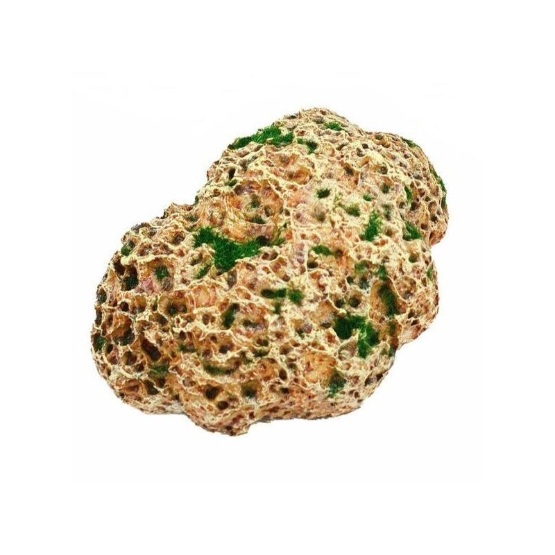 Mohás műszikla, nagy