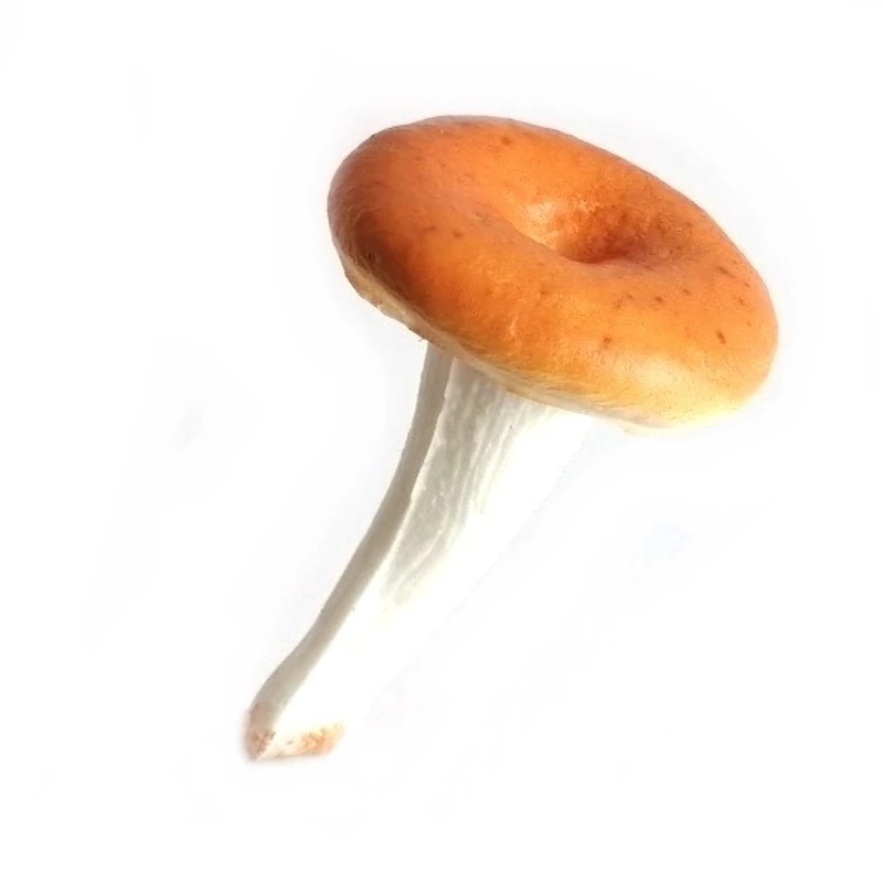Gomba - barna kalapos - gumi, lapos 7cm