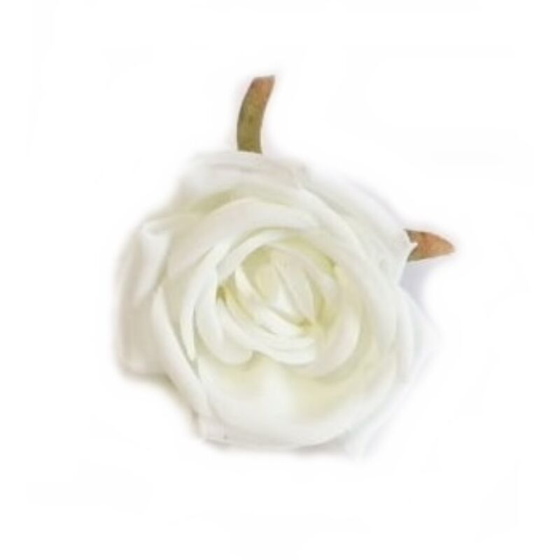 Rózsafej fehér