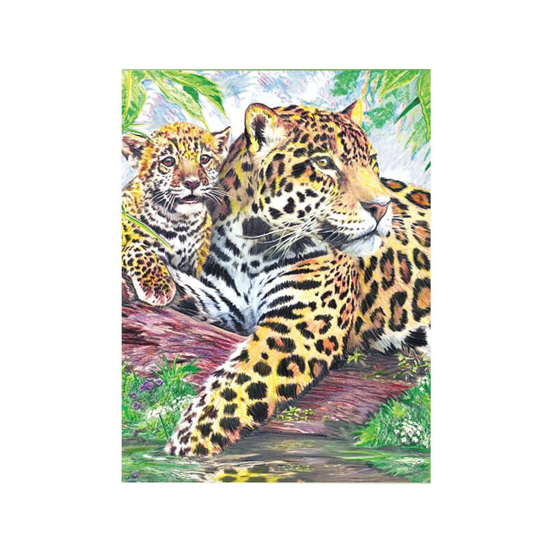 Számozott színező készlet, színesceruzák + hegyező, 22x30cm - Jaguár