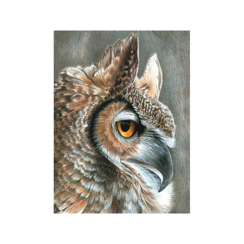 Számozott színező készlet, színesceruzák + hegyező, 22x30cm - Bagoly