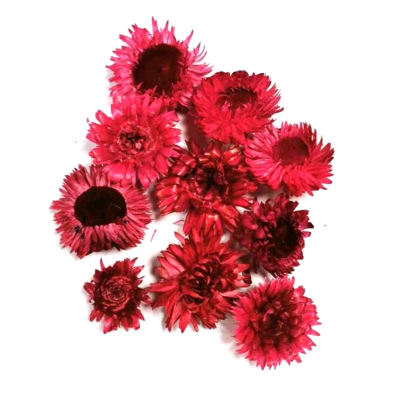 Szalma virág - Pink