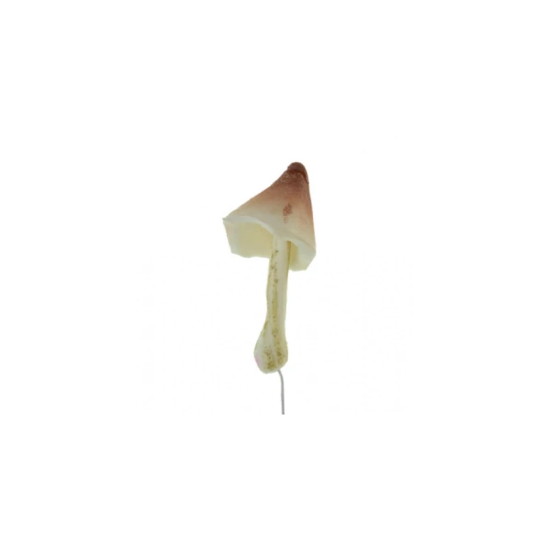 Gomba - krém-barna hegyes kalapos - gumi 7,5cm