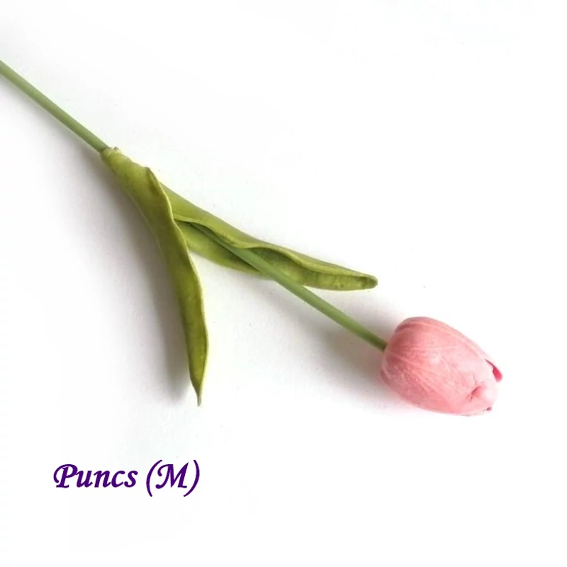 Puncs 