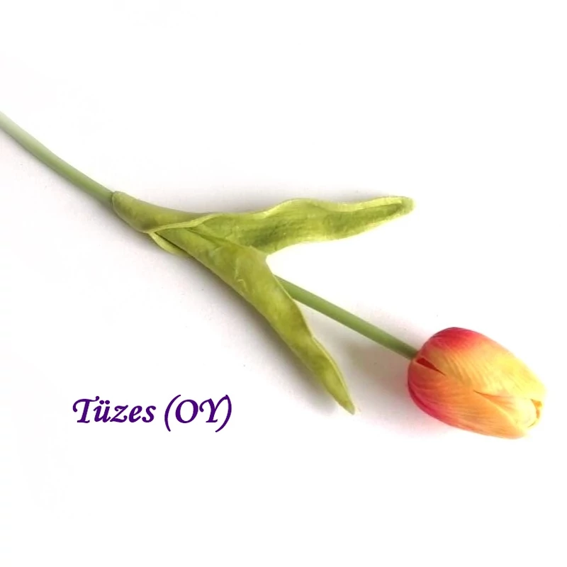 Tüzes 