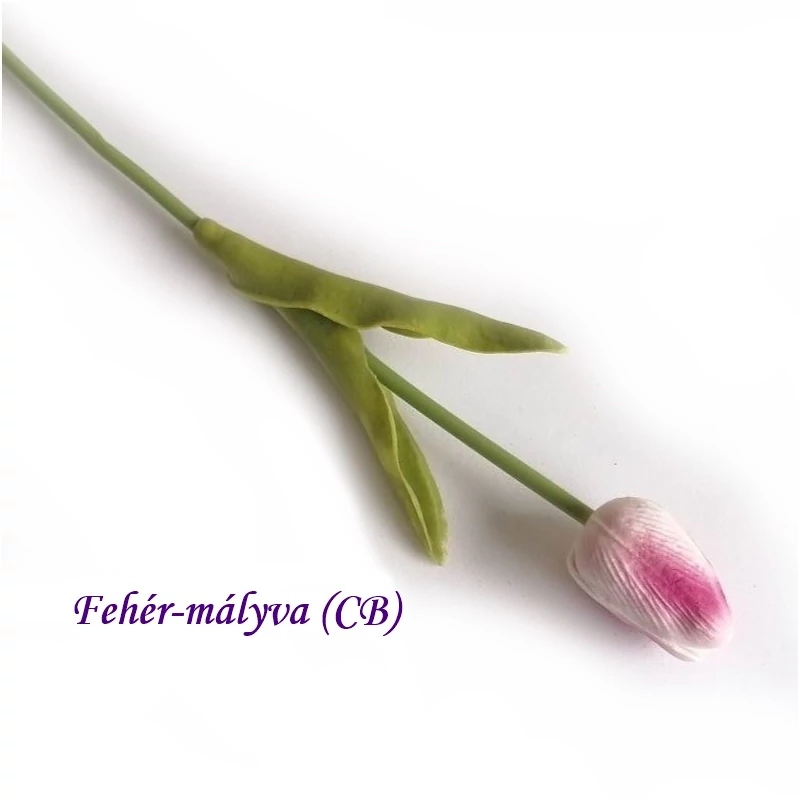 Fehér-mályva