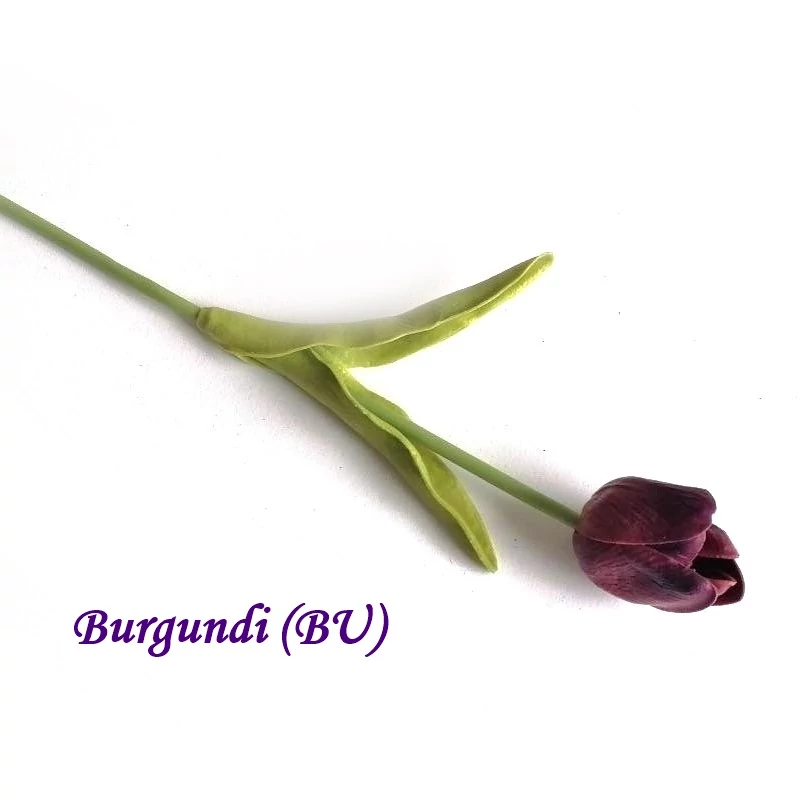 Burgundi