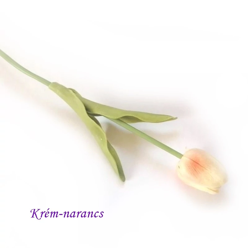 Krém-narancs
