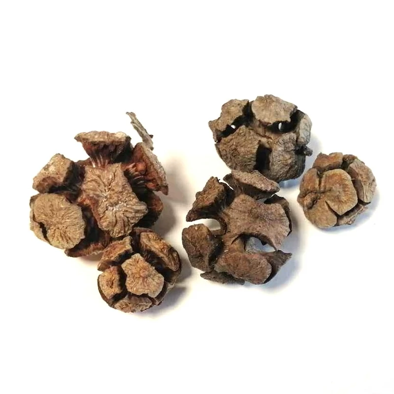 Ciprus termés, natur