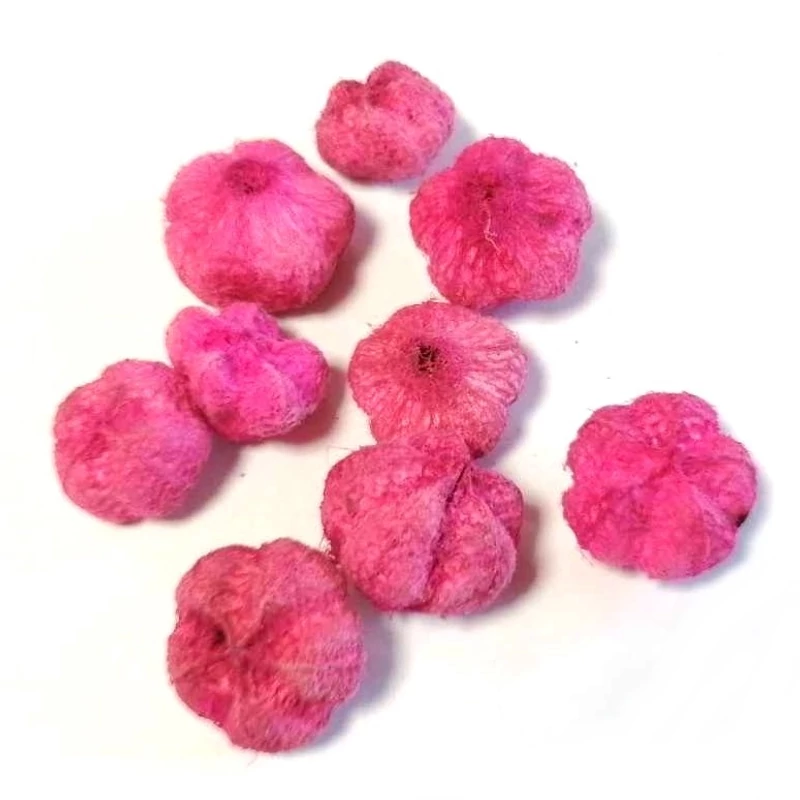 Termés mini fokhagyma, pink