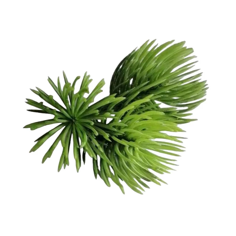 Mini bonsai fenyőágacska 3 ágú világoszöld