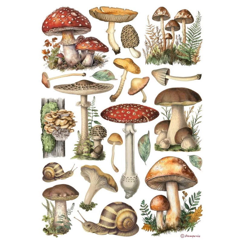 Rizspapír A4 - Mushrooms