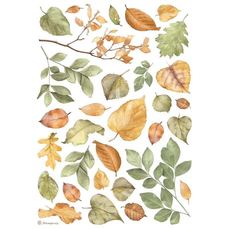 Rizspapír A4 - Leaves