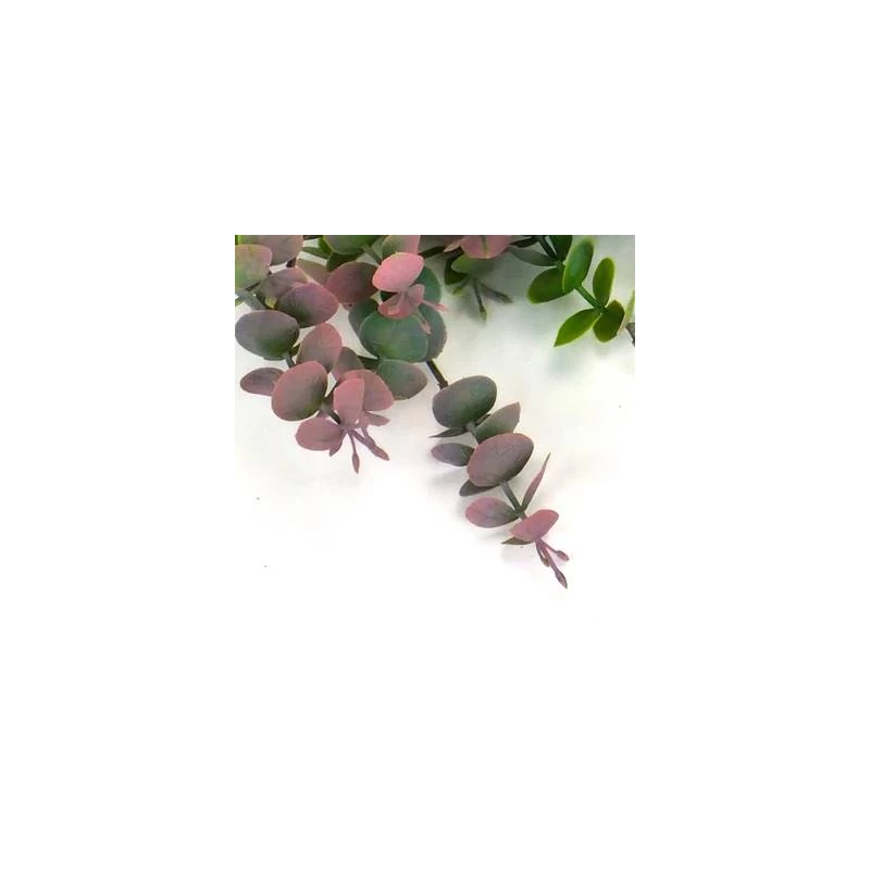  Eukaliptusz ágacska  - 5 ágú zöld-pink