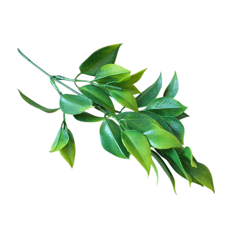 Ruscus ág - zöld 