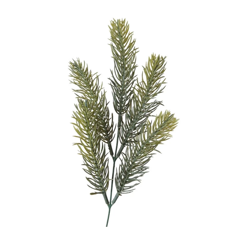 Lucfenyő ág, 5 szál 26 cm - hamvas zöld