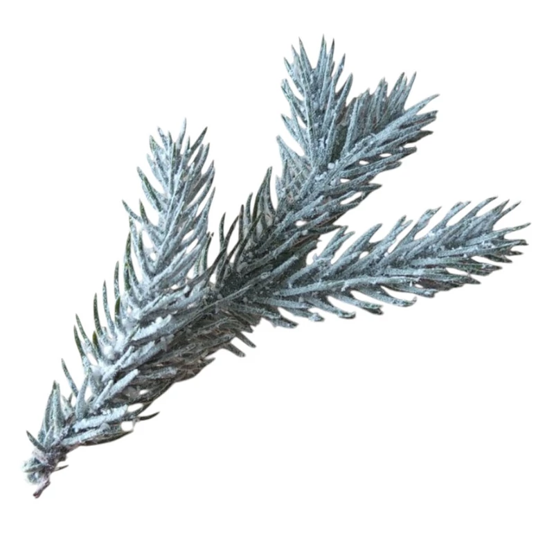 Koreai jegenyefenyő szál kicsi 12cm - hamvas